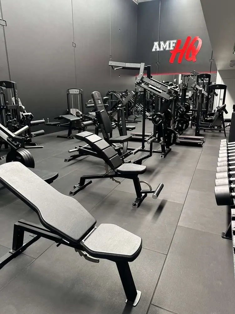 Bench & Rack Area — AMF HQ premium gym Tauranga