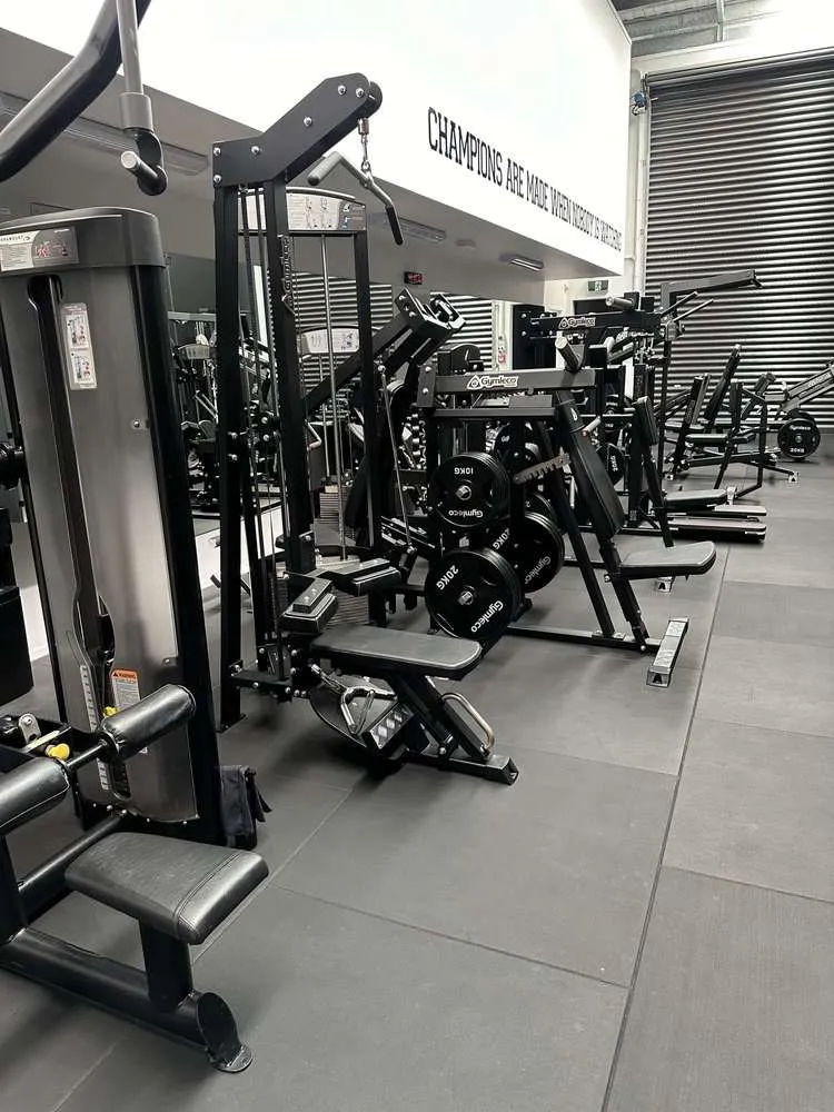 Plate-Loaded Machines — AMF HQ premium gym Tauranga
